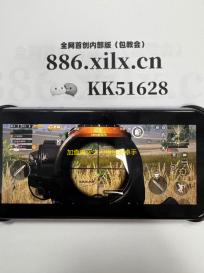 加查鬼灭之刃模组安卓手机版v1.1.0 人气热度 ：21℃